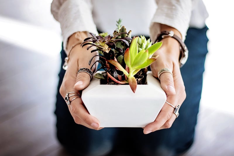 Upcycled Pots